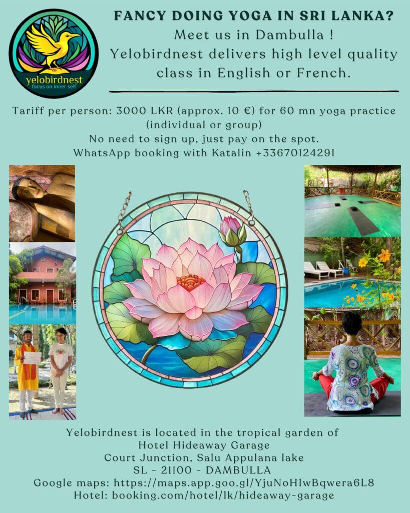 Yelobirdnest main page